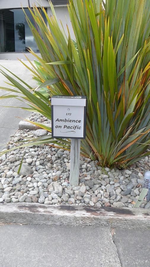 Ambience On Pacific Bed and Breakfast Palmerston North Buitenkant foto